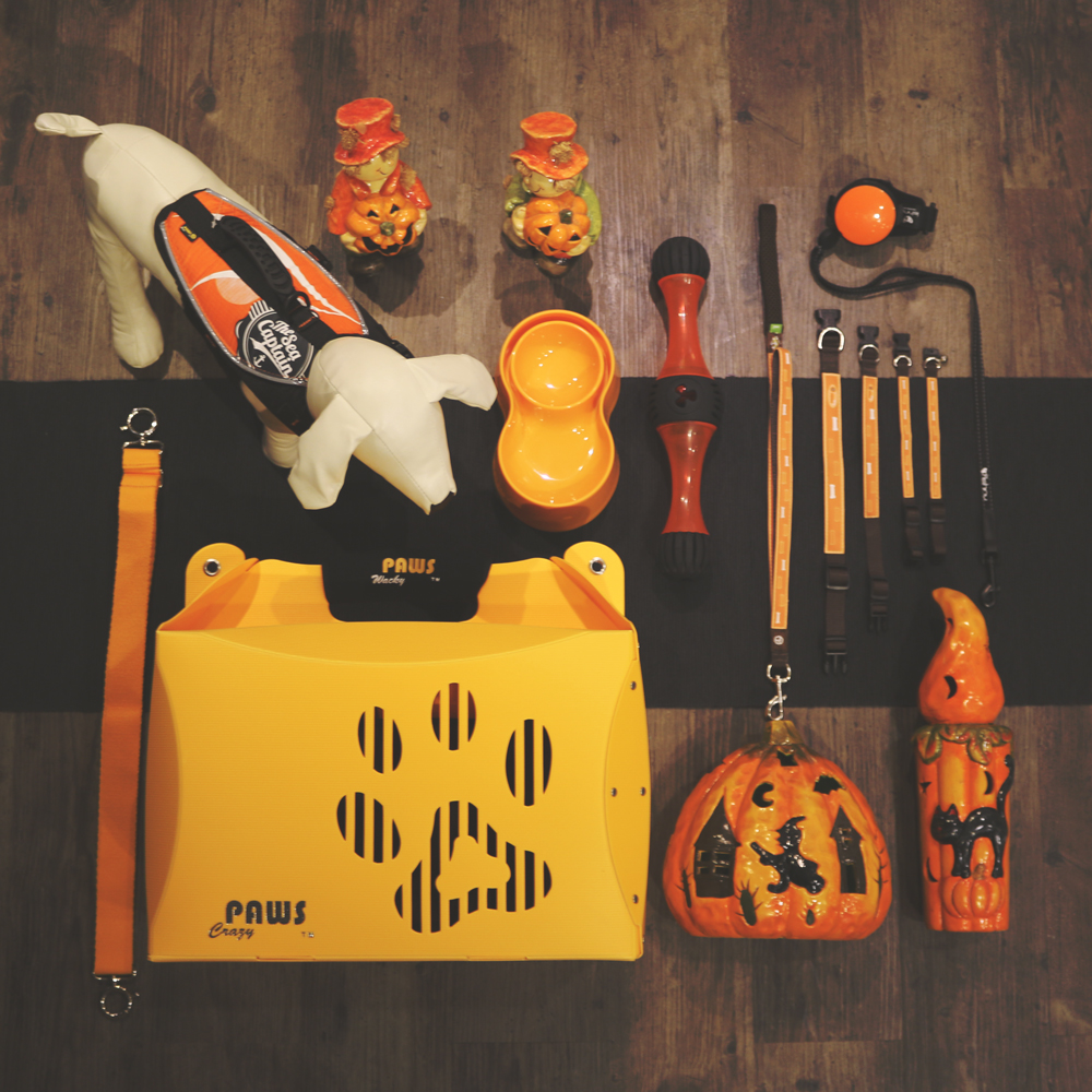 狗籠，地板上放著南瓜和其他物品。