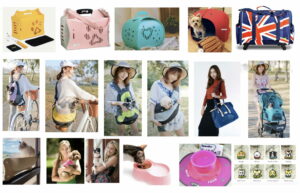 人和他們的寵物的照片拼貼。