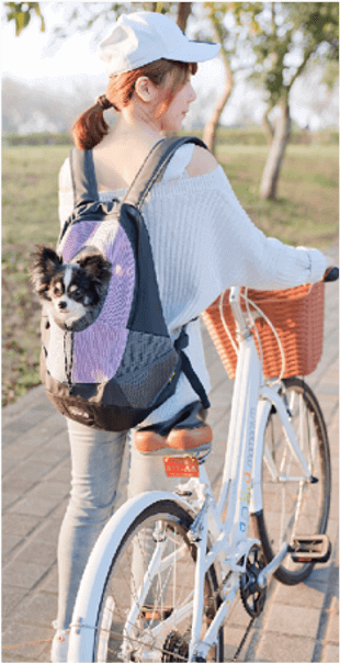 一名婦女騎著腳踏車，背包裡有一隻狗。