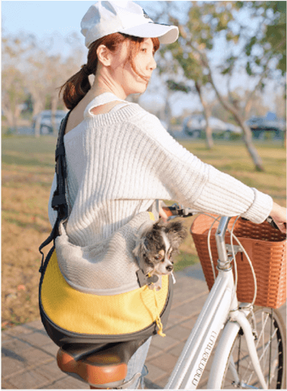 一名女子騎著腳踏車,袋子裡裝著一隻貓。