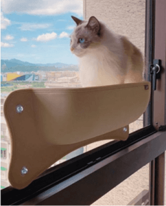貓咪窗邊床