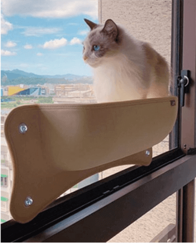 貓咪窗邊床